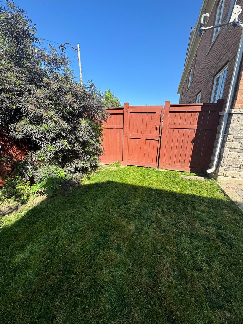 Healthy green lawn along a backyard fence